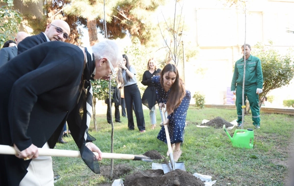 "ART Weekend" çərçivəsində "Püstə: canlı irs" performansı təqdim edilib "ART Weekend" çərçivəsində "Püstə: canlı irs" performansı təqdim edilib