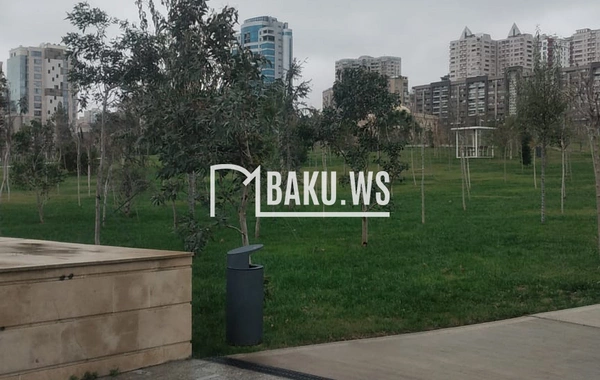 Mərkəzi Parkda piyadalar üçün TƏHLÜKƏLİ VƏZİYYƏT