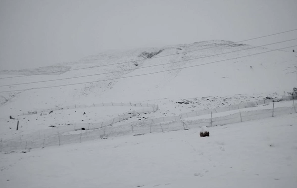 Xınalıq və Qrızda 10 santimetrə qədər qar yağıb - 3 dərəcə ŞAXTA VAR