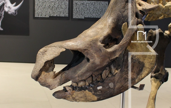 Palçıq Vulkanları Turizm Kompleksi – Azərbaycanın təbiət möcüzələrinə açılan yeni qapı