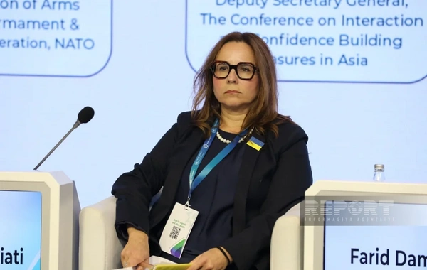 NATO və Azərbaycan minatəmizləmə üzrə yeni layihələr həyata keçirə bilər