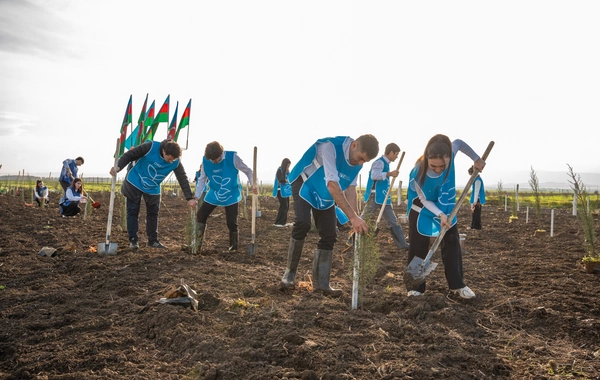 İDEA Sabirabad və Cəlilabad rayonlarında kütləvi ağacəkmə aksiyaları təşkil edib