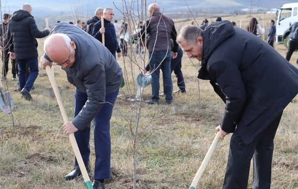 Xocalıda Heydər Əliyevin anım günü münasibətilə ağacəkmə aksiyası keçirilib