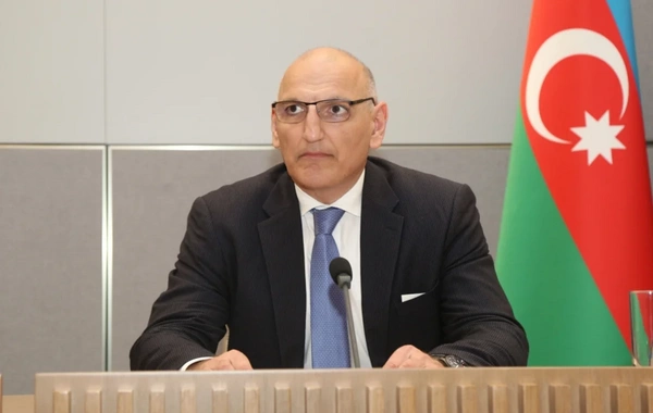 Elçin Əmirbəyov: Ərazimizin 13 faizindən çoxu minalar və partlamamış hərbi sursatlarla çirklənib