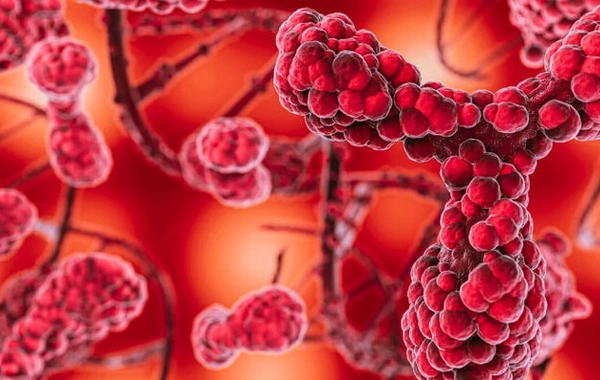 Scientists: Chemotherapy leads to activation of dormant cancer cells