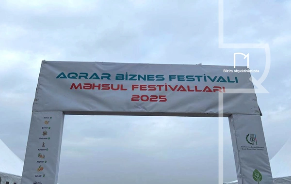 Neftçalada rayonunda "I Balıq" Festivalı keçirilib