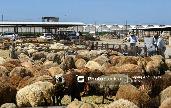 Bunu etməyənlərə məhdudiyyətlər tətbiq ediləcək
