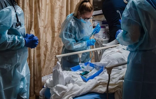 7 dəfə mutasiyaya uğrayan H3N2 qrip virusu Türkiyədədir