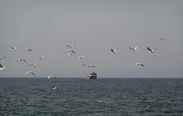 Hörmüz boğazının blokadaya alınmasının elan edilməsi neft qiymətlərini artırmayıb