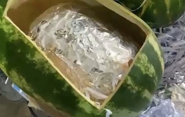 Qarpızın içində gizlətdikləri narkotiki gömrükdən keçirmək istədilər
