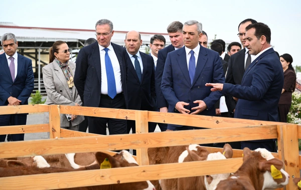 Xocalıda "Qoç Ət"in heyvandarlıq kompleksi ilə tanışlıq olub