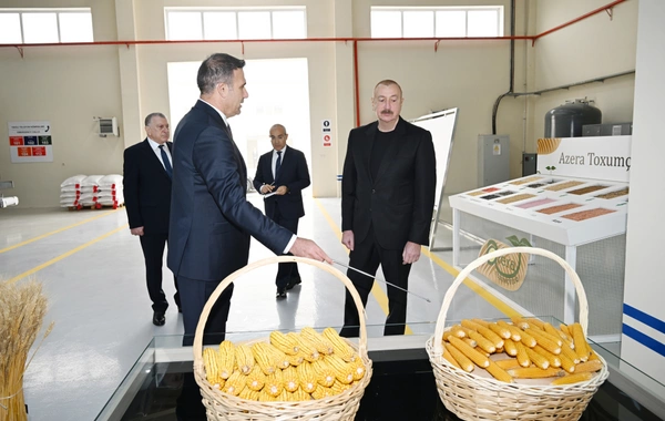 Sabirabad Sənaye Məhəlləsində toxum istehsalı müəssisəsinin fəaliyyəti ilə tanışlıq