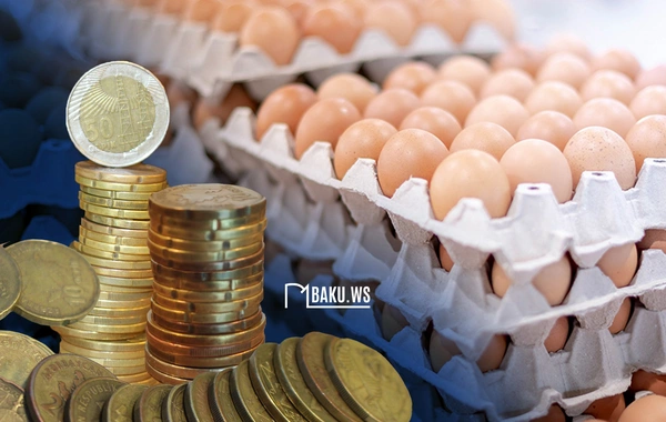 Azərbaycanda yumurtanın qiyməti ilə bağlı SEVİNDİRİCİ XƏBƏR