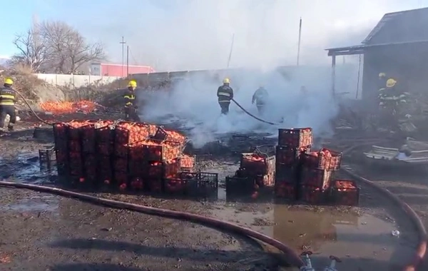 Zaqatalada xurma istehsalı sexində yanğın baş verib
