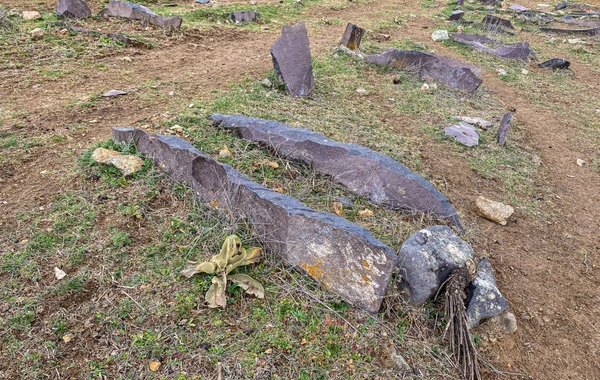 Qərbi Azərbaycanın yaddaş yerləri: Ərinc kəndinin tarixi araşdırılıb