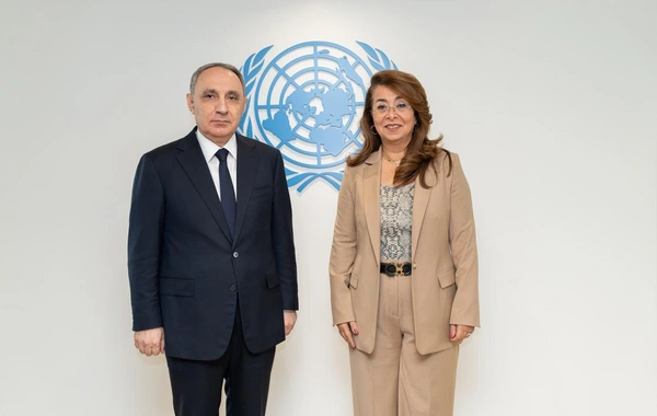 Baş Prokurorluq COP29-la bağlı Vyanada təşviqat tədbiri keçirib