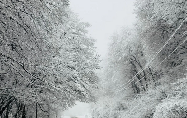 Bakı–Şamaxı–Yevlax yolu buz bağladı