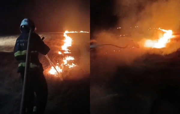 В Физулинском районе на зерновом поле вспыхнул пожар