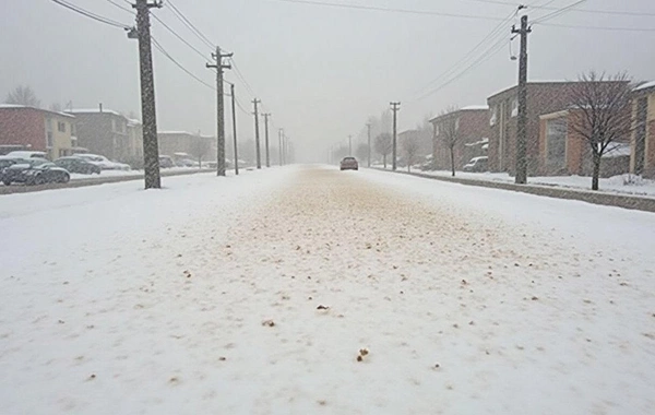 Qəhvəyi rəngdə qar yağdı - SƏBƏB...