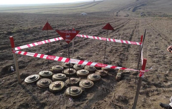 Ötən həftə 1 200 hektardan çox ərazi minalardan təmizlənib