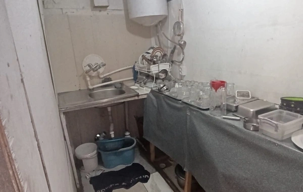 Bakıda siçovulla gündəmə gələn iaşə obyektində pişik və həşəratlar da aşkarlandı
