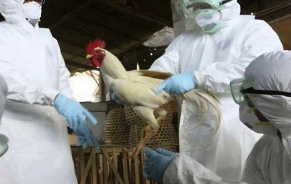 Bir sıra ölkələrdən Azərbaycana bəzi malların idxalına məhdudiyyət qoyulub