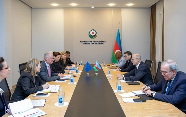 Yaşıl enerji istehsalında Azərbaycanın Avropa şirkətləri ilə əməkdaşlıq imkanları müzakirə edilib