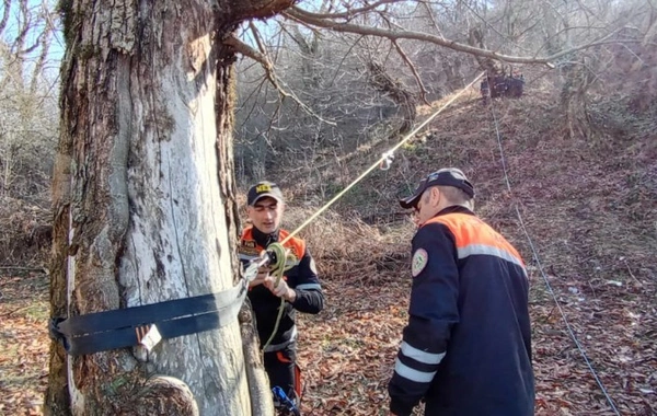 Dağlıq ərazidə axtarış-xilasetmə ilə bağlı təlim keçirilib