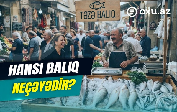 Azərbaycanda balıq ovu başladı: Bazarda QİYMƏTLƏR NECƏDİR? - VİDEOREPORTAJ