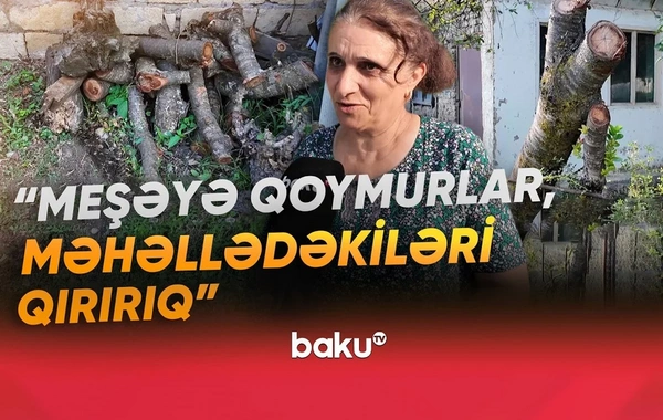 30 ildən çoxdur qaz üzünə həsrət qalan sakinlər: Gilas ağacını kəsib yandırırıq