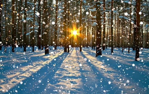 Sabah bəzi yerlərə qar yağacaq - PROQNOZ