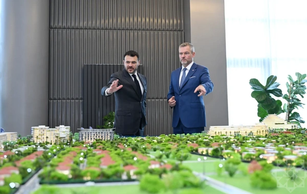 Slovakiya Prezidenti "Sea Breeze"lə tanış olub