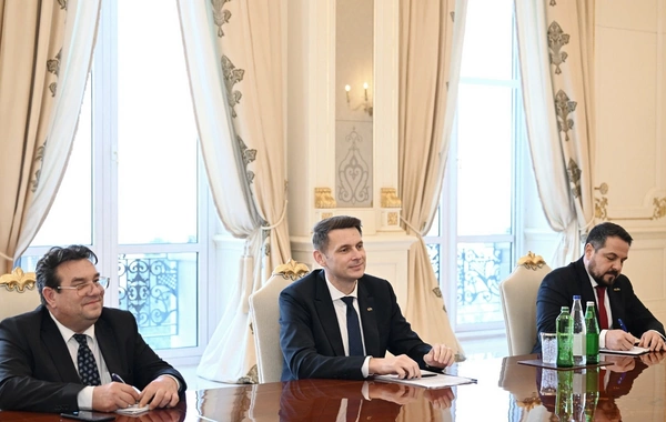 İlham Əliyev Rumıniya Parlamenti Senatının sədrini qəbul edib İlham Əliyev Rumıniya Parlamenti Senatının sədrini qəbul edib