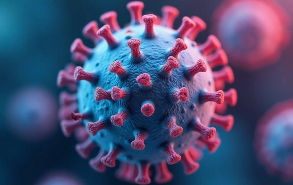 Alimlər tam sintetik viruslar hazırladı