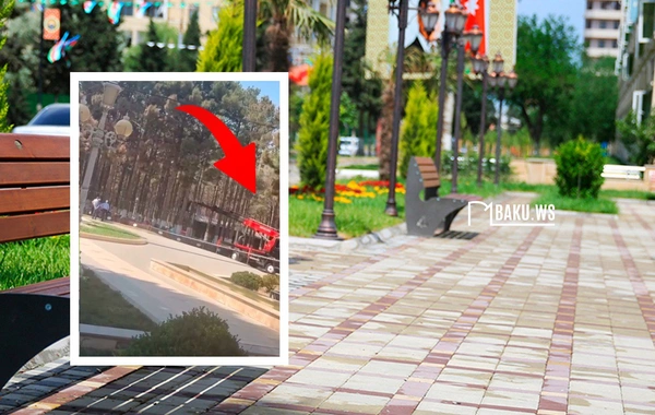 Heydər Əliyev parkındakı restoranın ətrafında qurumuş ağaclar kəsilib