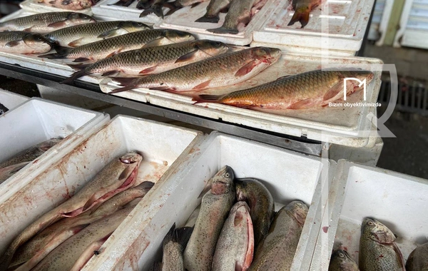 Ət əvəzinə hamı balıq alır - Bazarda SON QİYMƏTLƏR