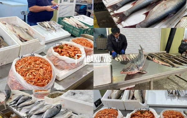Balıqçılıq məhsullarının yeni satış qaydası müəyyənləşir
