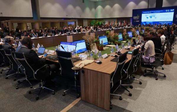 Məcnun Məmmədov G20 Kənd Təsərrüfatı Nazirlərinin Toplantısına qatılıb