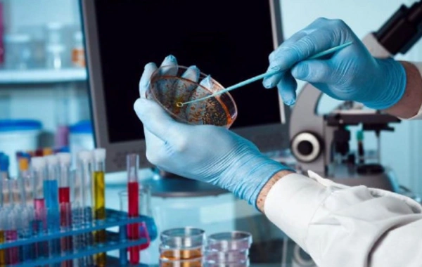 WHO warned of sharp rise in antibiotic-resistant infections