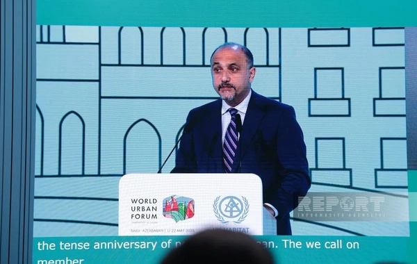 Anar Vəliyev: Mənzil hüququ insan hüququ kimi tanınmalı və prioritetləşdirilməlidir