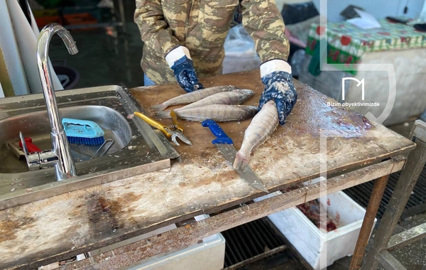 Ət əvəzinə hamı balıq alır - Bazarda SON QİYMƏTLƏR