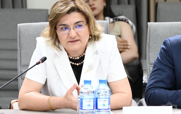 Uşaqların zərərli informasiyadan qorunmasına yönəlmiş normativ hüquqi akt layihəsi müzakirə olunub