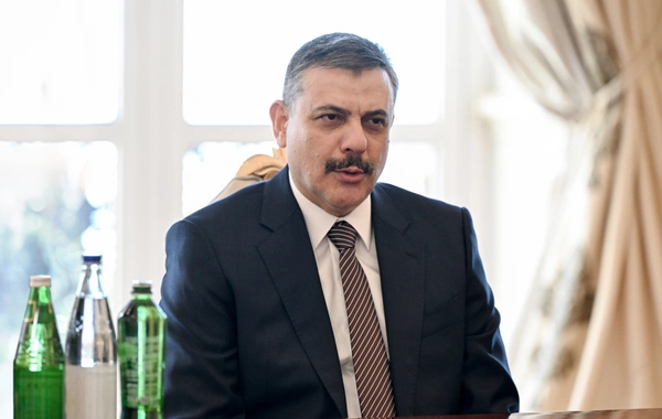 Prezident İlham Əliyev Türkiyənin daxili işlər nazirini qəbul edib