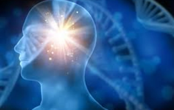 Scientists revealed which profession is most dangerous for the brain