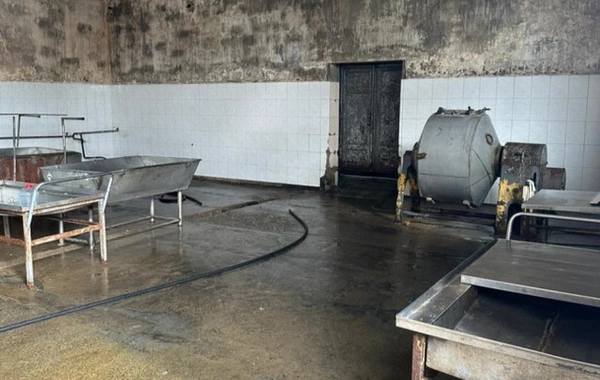 Süd və süd məhsullarının istehsalı müəssisəsində nöqsanlar aşkarlanıb