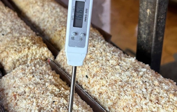 Sumqayıtda "Banu" şirniyyat sexində ciddi nöqsanlar aşkarlandı, sahibi cərimələndi