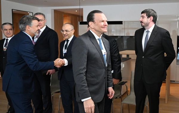 President Ilham Aliyev met with the chairman of the Brazilian company BTG Pactual in Davos