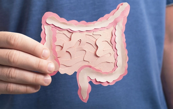 A bacterium has been found that strengthens and increases human muscles