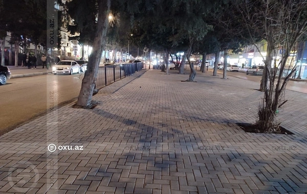 Əhmədlidə üç il əvvəl tikintiyə icazə verilməyən ərazidə AĞACLAR QIRILDI, yerinə daş döşəndi - Sakin ŞİKAYƏTİ