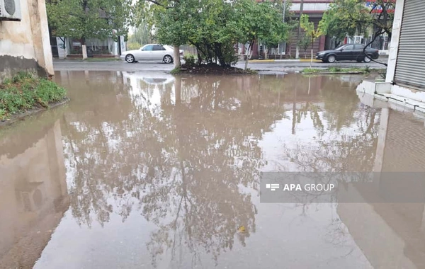 Lənkəranda sel suları həyətyanı sahələrə dolub